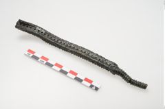 Foto von Bronzeraspel (NHMW-PRAE-025098)